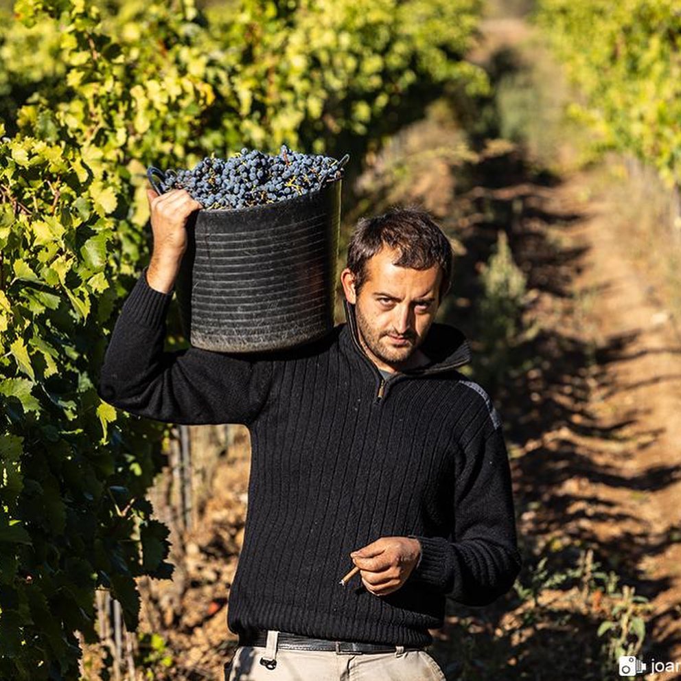 120287465_1453954174801194_9220136388600137542_n