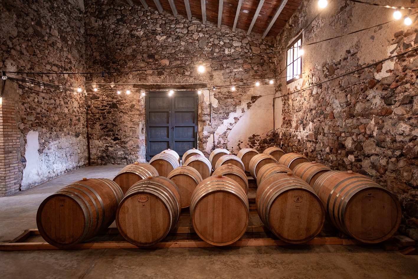 75392770_1159529237577024_8340351667312525312_n